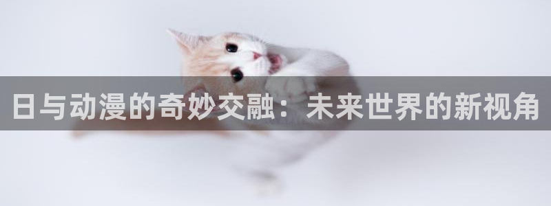 火影忍者国语版58动漫