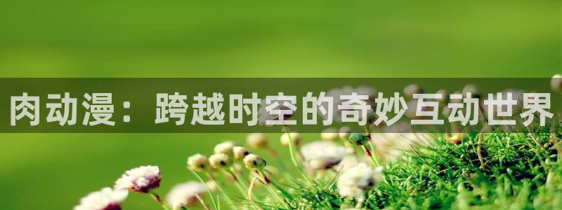 58动漫网站官网首页